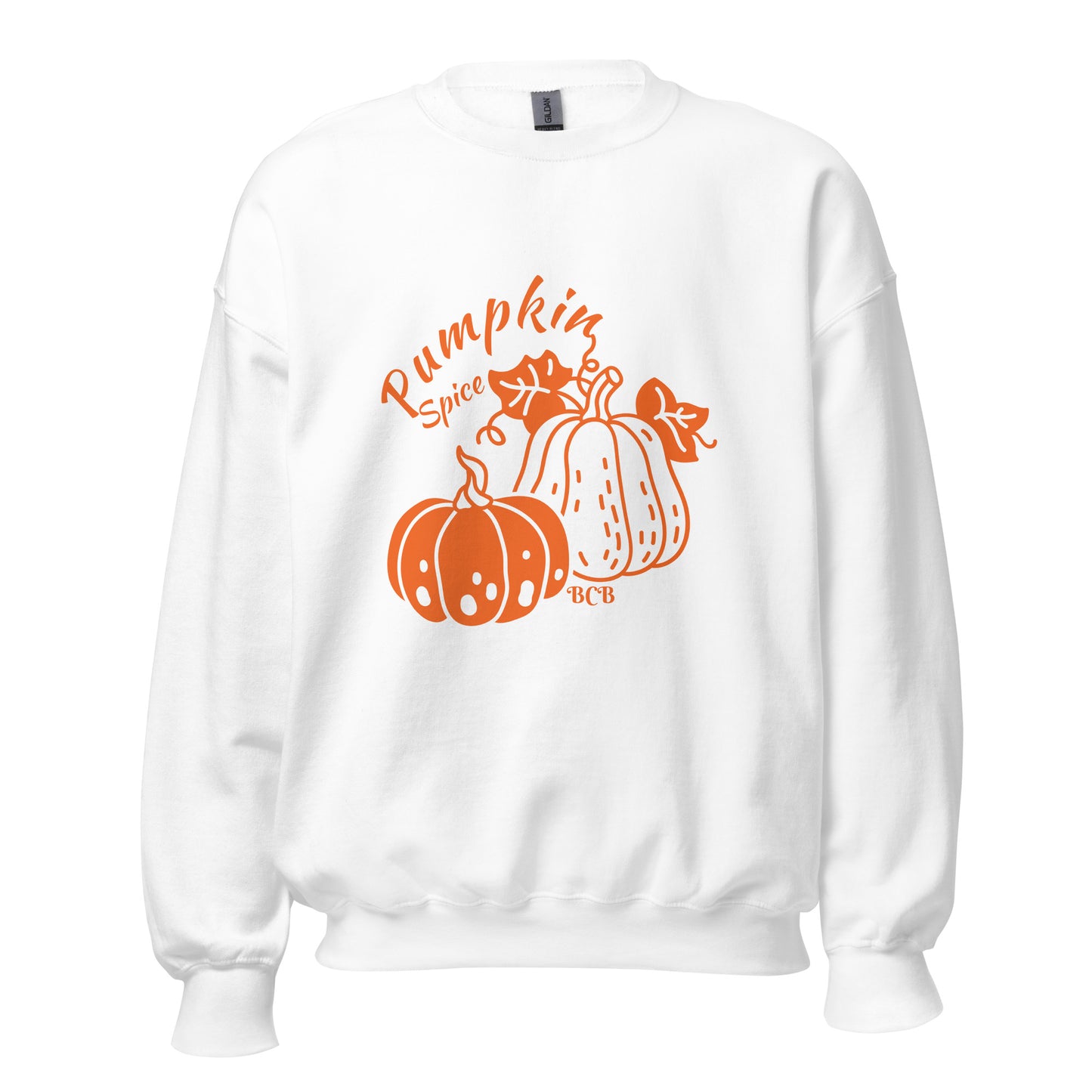 Pumpkin Spice Sweatshirt